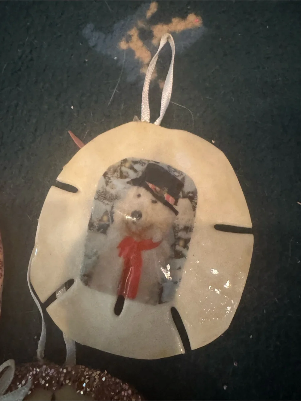 Handmade real Sand Dollar ornaments Hanging Set - Cream and Brown